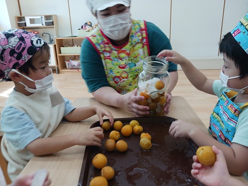 梅シロップブログ④20240909_103435.jpg