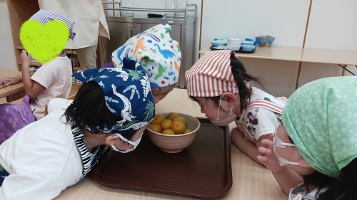 梅シロップブログ②20240909_102153.jpg