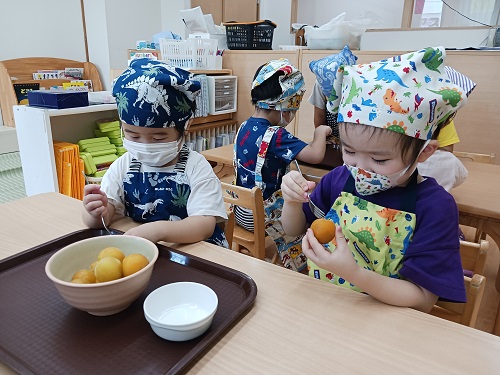 梅シロップブログ③20240909_102248.jpg