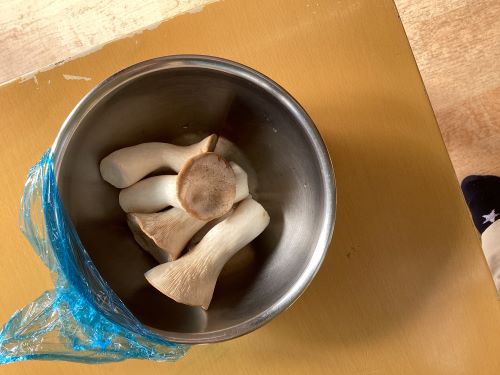ほし2.JPG
