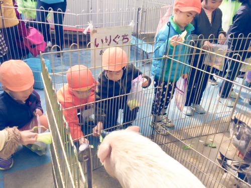 移動動物園がやってきました Fresh Smile